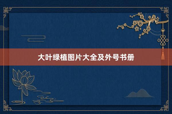 大叶绿植图片大全及外号书册