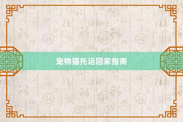 宠物猫托运回家指南