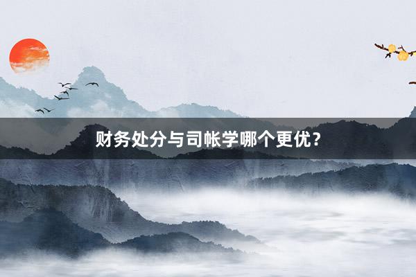财务处分与司帐学哪个更优？