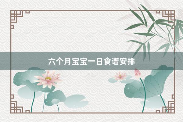 六个月宝宝一日食谱安排