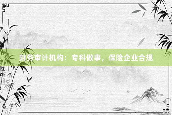 财务审计机构：专科做事，保险企业合规